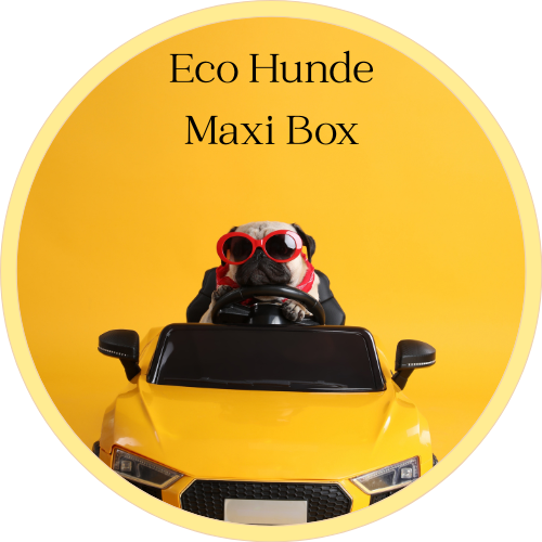 🐶 Eco Hunde Maxi Box