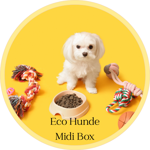 🐶 Eco Hunde Midi Box