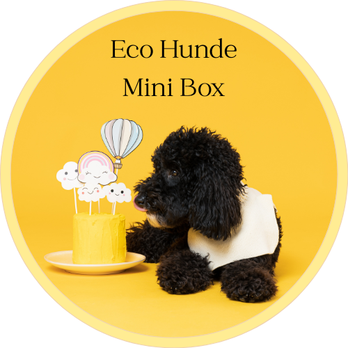 🐶 Eco Hunde Mini Box