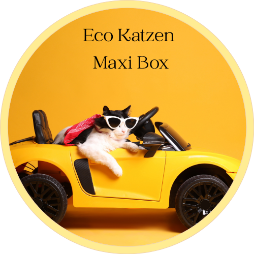 🐱 Eco Katzen Maxi Box