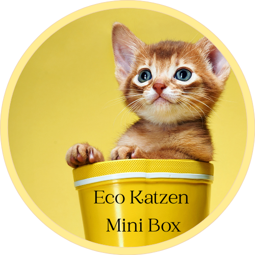 🐱 Eco Katzen Mini Box
